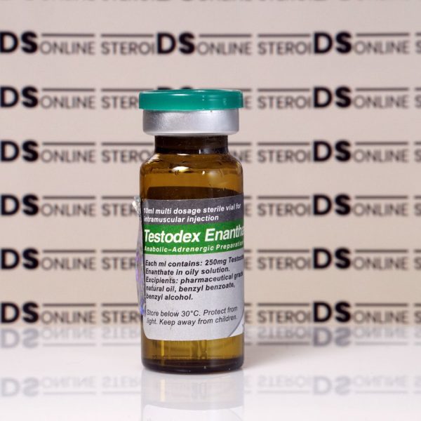 Testodex Enanthate 250 mg Sciroxx